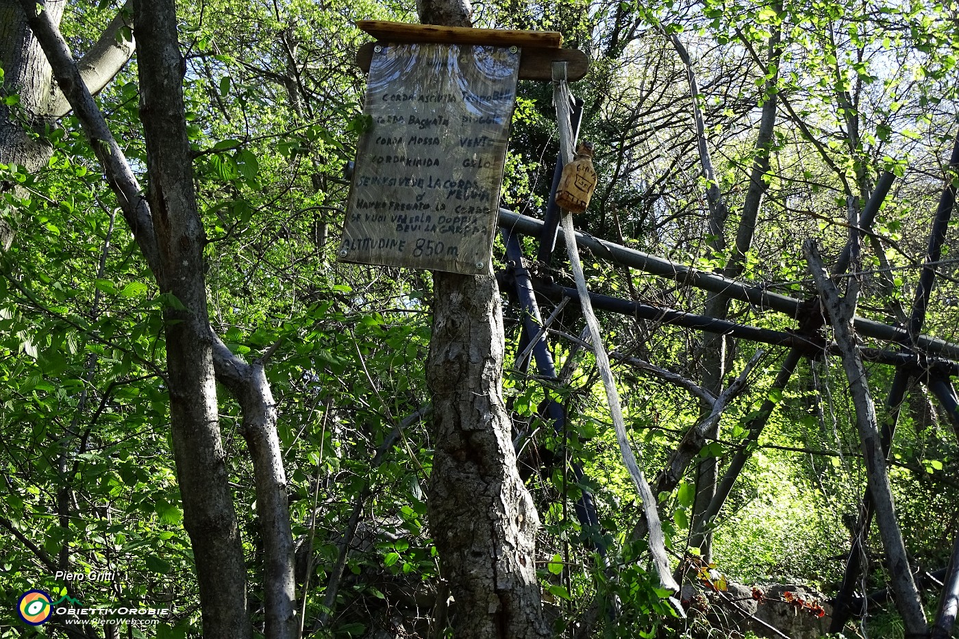 11 Curioso barometro a corda, appeso ad un albero.JPG